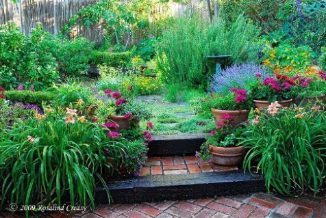 backyard herb garden