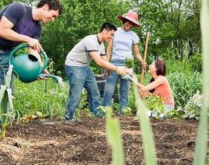 gardening is fun