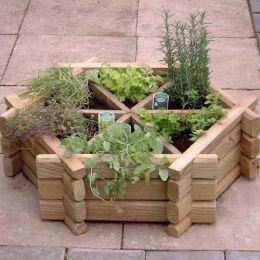 drying herbs on racks