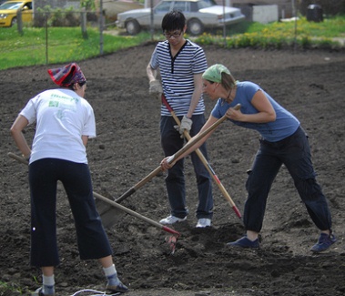 community gardening